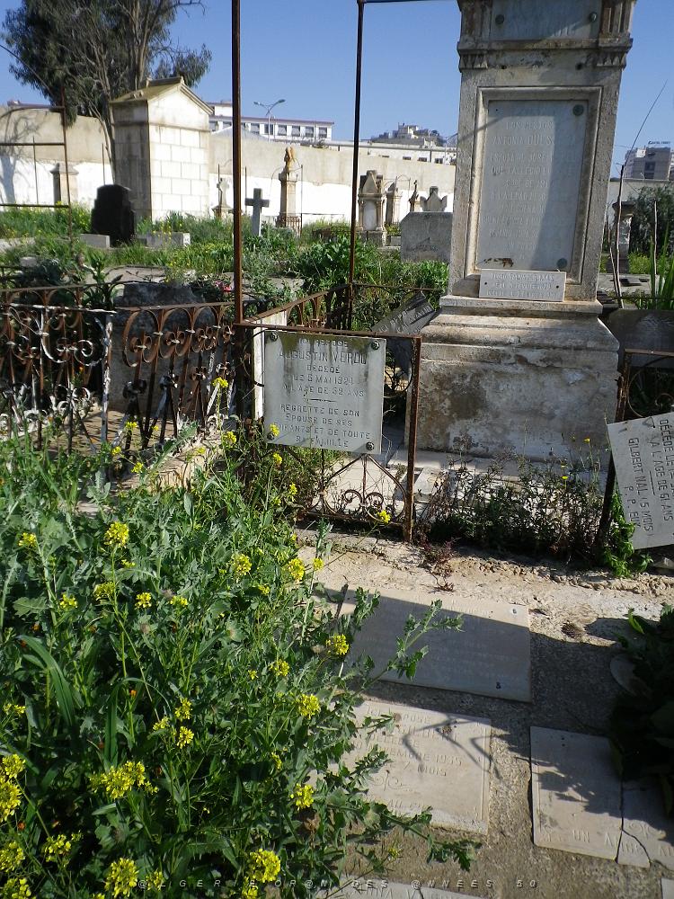 CIMETIERE DE TAMAZOUHET D ORAN EN MARS 2012  (37).JPG